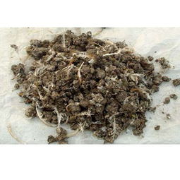 石家庄强农天然鸡粪生物有机肥 打造优质农作物新标杆